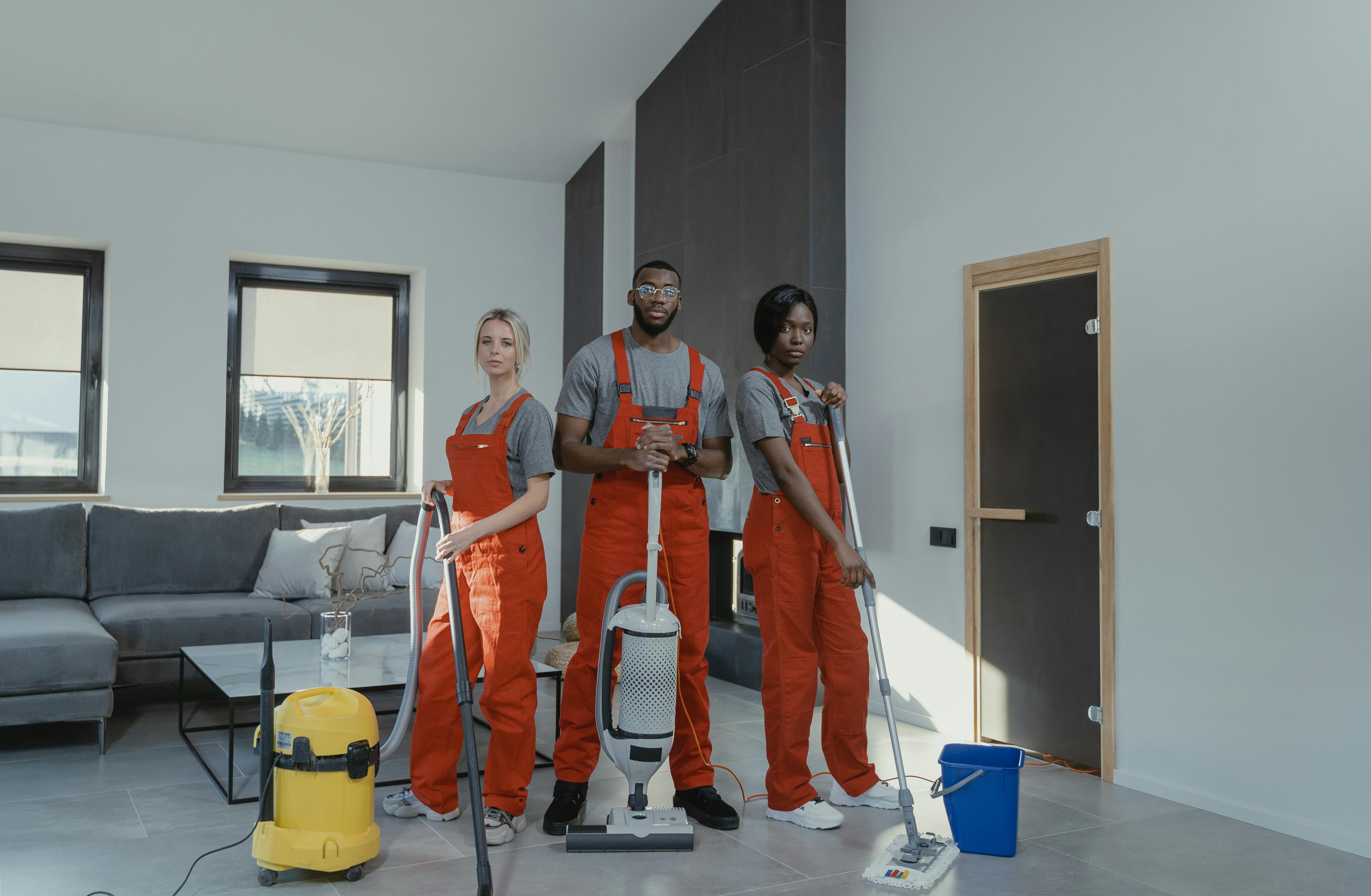 Professional cleaning team
